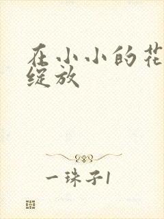 在小小的花蕾处绽放