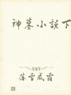 神墓小说下载
