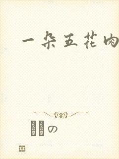 一朵五花肉封面