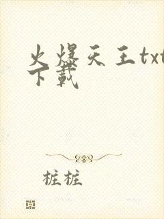火爆天王txt下载