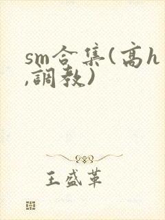 sm合集(高h,调教)