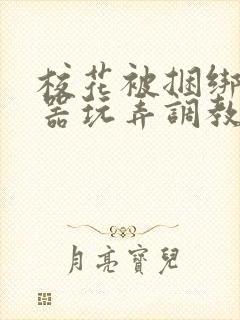 校花被捆绑用性器玩弄调教小说