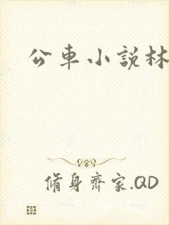 公车小说林蔓蔓