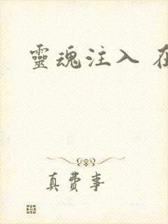 灵魂注入 在线