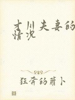 才川夫妻的恋爱情况