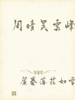 周晴吴云峰小说封面