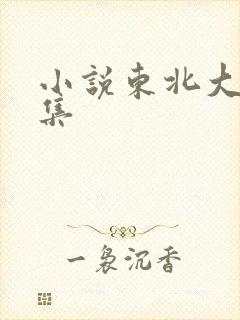 小说东北大炕全集