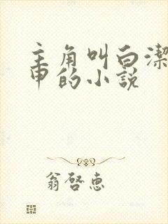 主角叫白洁和王申的小说封面