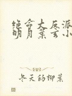 绝命大反派澹台明月叶玄小说