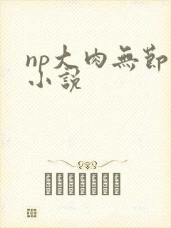 np大肉无节操小说