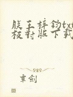 朕王梓钧txt校对版下载封面