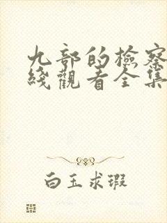 九部的检察官在线观看全集免费播放