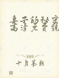 妻子的秘密漫画高清免费观看