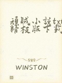 顽贼小说txt精校版下载