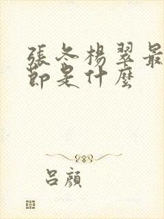 张冬杨翠最新章节是什么