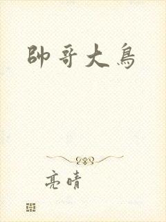 帅哥大鸟