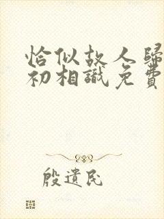 恰似故人归与君初相识免费看