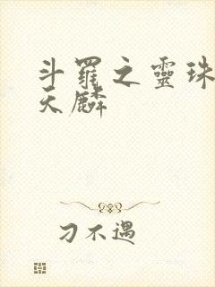 斗罗之灵珠神剑天麟封面