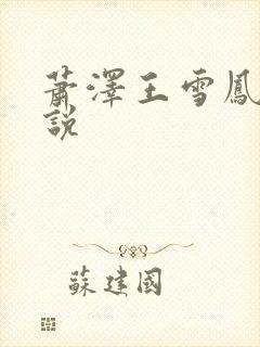 萧泽王雪凤的小说