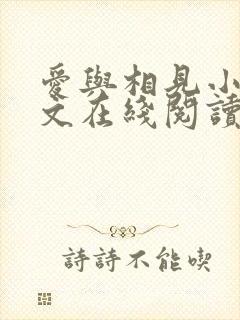 爱与相见小说全文在线阅读