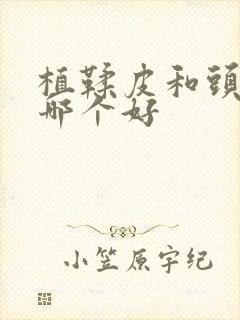 植鞣皮和头层皮哪个好封面