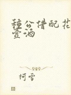 种公借配花间一壶酒封面