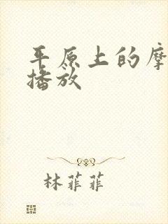 平原上的摩西 播放