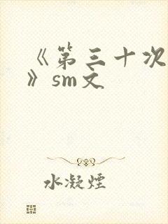 《第三十次调教》sm文封面