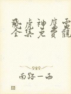 飞虎神鹰电视剧全集免费观看