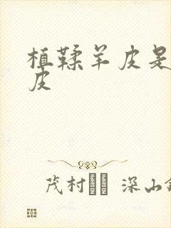 植鞣羊皮是什么皮