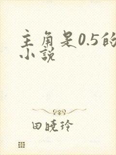 主角是0.5的小说