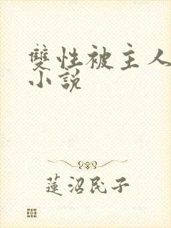 双性被主人调教小说封面