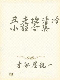 丑老攻清冷美人小说合集