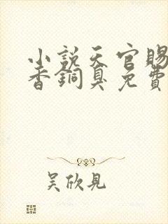 小说天官赐福墨香铜臭免费阅读全文