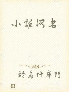 小说网名