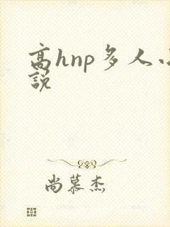 高hnp多人小说