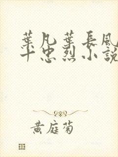 叶凡叶长风一门十忠烈小说名字