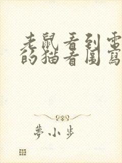 老鼠看到电脑里的猫看图写话