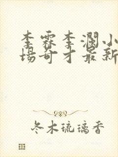 李霖李澜小说官场奇才最新更新