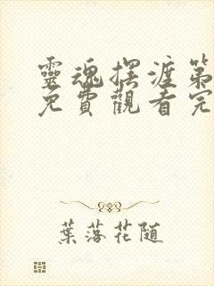 灵魂摆渡第4季免费观看完整版