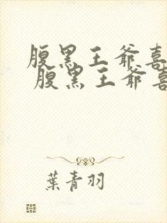 腹黑王爷喜当爹 腹黑王爷喜当爹