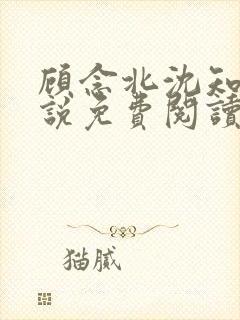 顾念北沈知宁小说免费阅读最新章节