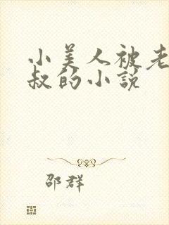 小美人被老肥丑叔的小说封面