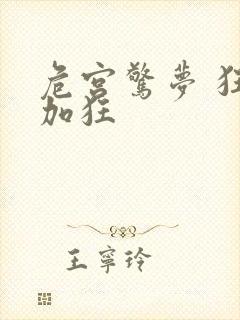 危宫惊梦 狂上加狂封面