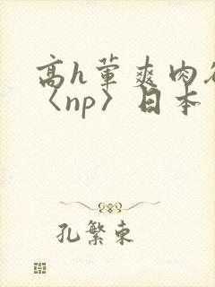 高h荤爽肉欲文〈np〉日本