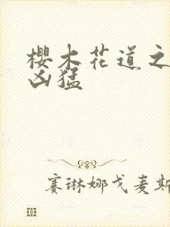 樱木花道之重生凶猛