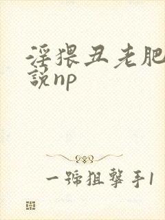 淫猥丑老肥攻小说np