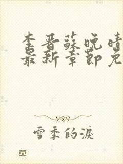 李晋苏晚晴小说最新章节免费阅读