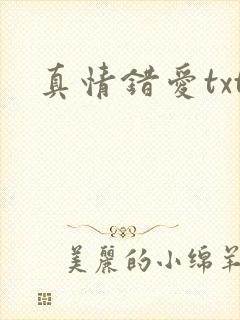 真情错爱txt