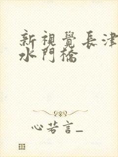 新视觉长津湖之水门桥封面